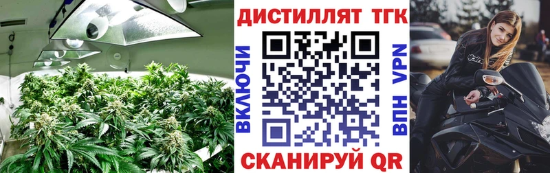 наркошоп  Истра  Дистиллят ТГК жижа 
