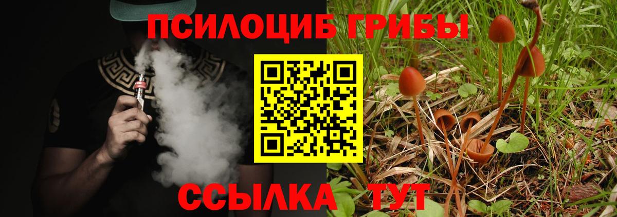 Псилоцибиновые грибы мицелий  Вход с VPN  Истра 